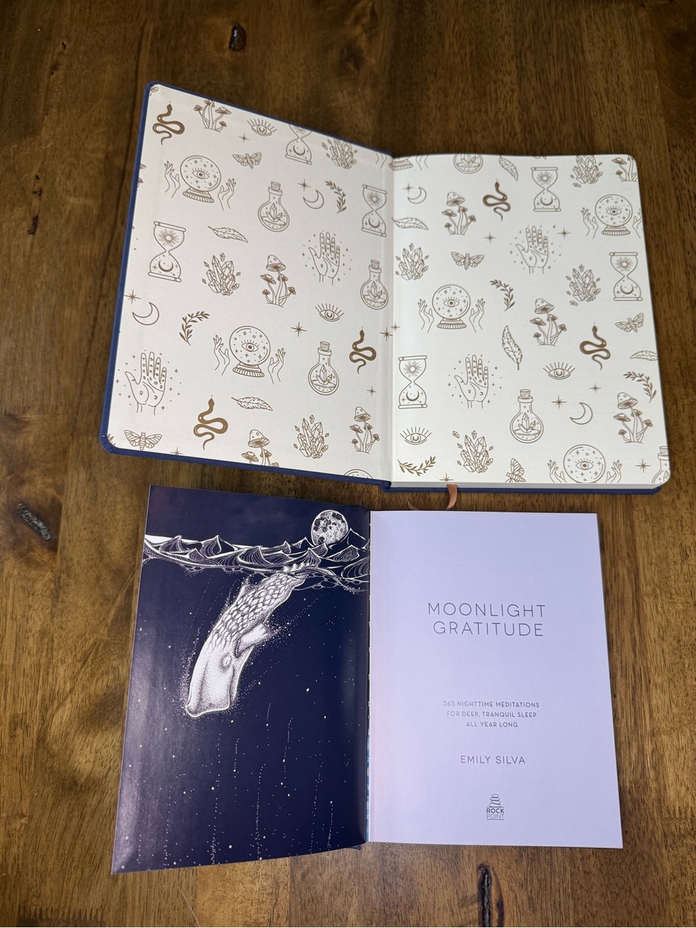 Book Bundle: Moonlight Gratitude by Emily Silva & Blank Journal - 2 Item Lot - Picture 2 of 16
